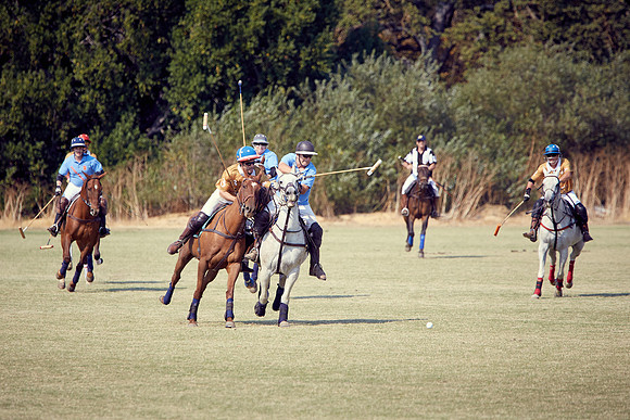 Oyster Cup Polo tournament