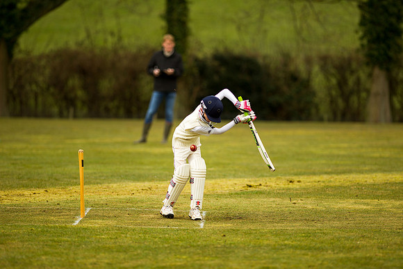 20130411-cricket-AG3A6666