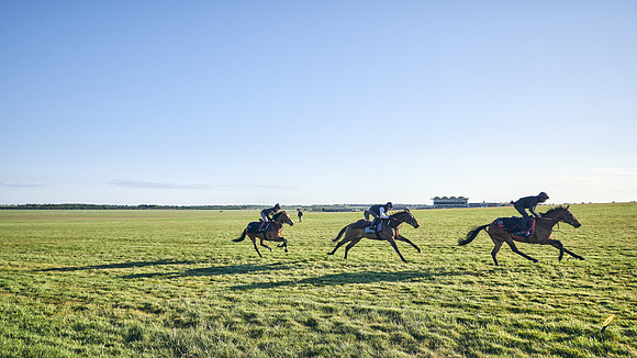 SUMMER GALLOPS-2nd-May-DJ-0991