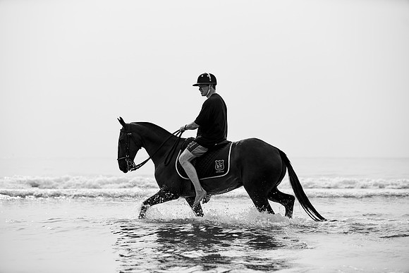 _DSC2871.ARW