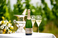 Newsells product shots7402346