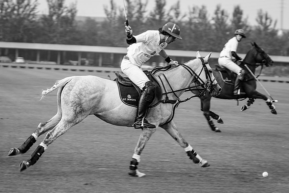 Royal Salute Gold Cup 2012 China Polo Open Tournament