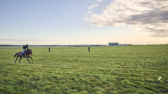 SUMMER GALLOPS-2nd-May-DJ-0875