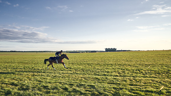 SUMMER GALLOPS-2nd-May-DJ-0101
