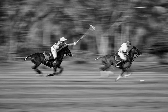 THAI-POLO-OPEN-2019_DJ_0556