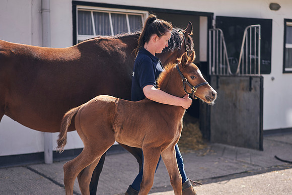 The-National-Stud-Dominic-James_DOM9799