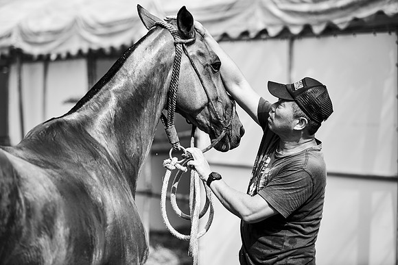 _DSC1933.ARW