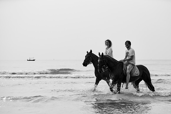 _DSC2919.ARW