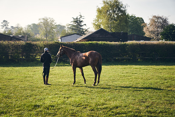 GEORGE-BOUGHEY-RACING-DJ-1373