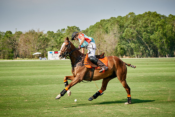 THAI-PINK-POLO-2019_DJ_3980