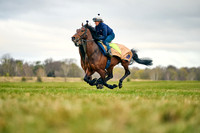 6th April 22 Flat Gallop 004