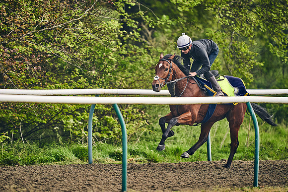 NEWMARKET-GALLOPS-24nd-APRIL-DJ-0447