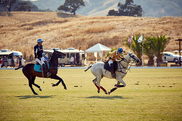 Oyster Cup Polo tournament