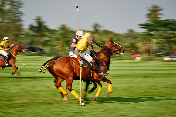 THAI-POLO-OPEN-2019_DJ_0504