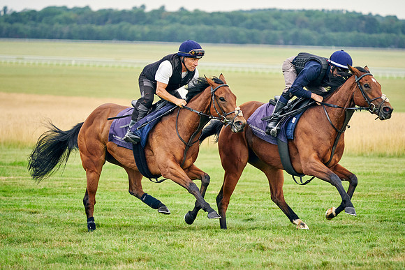 2021-08-03-Dominic-James-0401