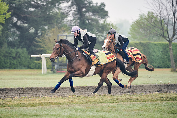 NEWMARKET-GALLOPS-24nd-APRIL-DJ-0174