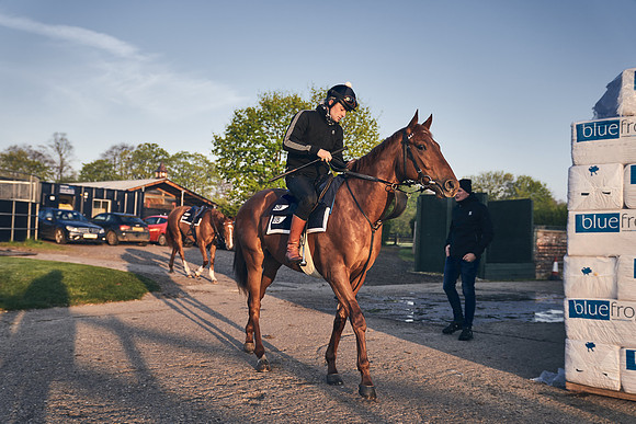GEORGE-BOUGHEY-RACING-DJ-0309