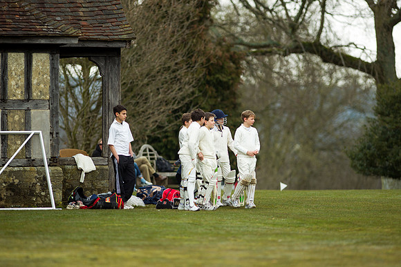 20130411-cricket-AG3A6755