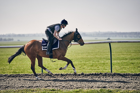 GEORGE-BOUGHEY-RACING-DJ-3375