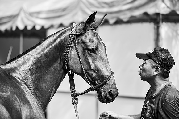 _DSC1977.ARW