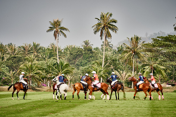 THAI-PINK-POLO-2020-Dominic-James_DJ93703.ARW-8170