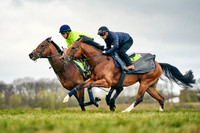 6th April 22 Flat Gallop 003