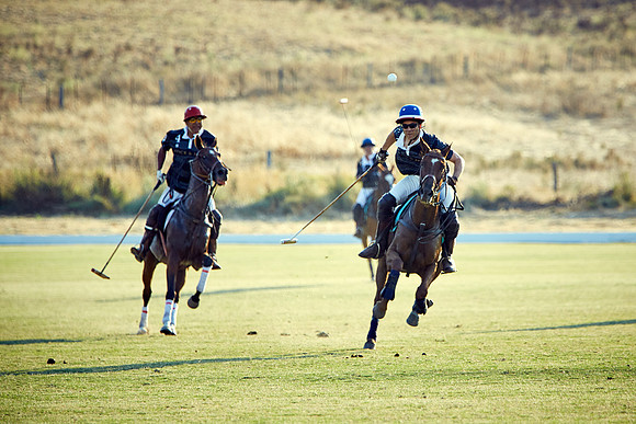 Oyster Cup Polo tournament