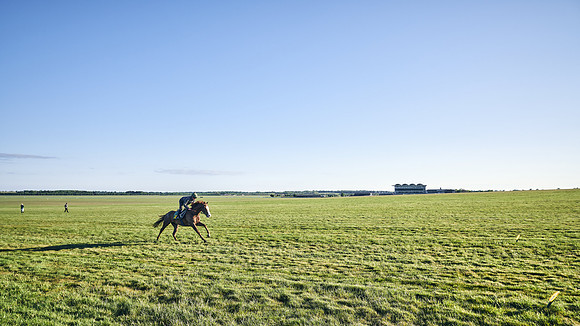 SUMMER GALLOPS-2nd-May-DJ-1356