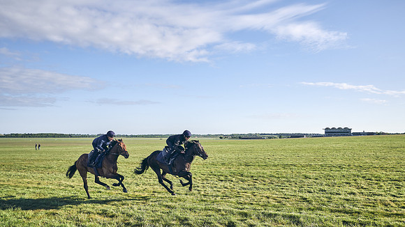 SUMMER GALLOPS-2nd-May-DJ-1490