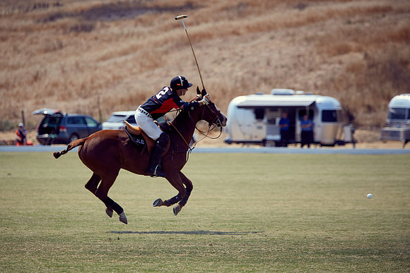 Oyster Cup Polo tournament