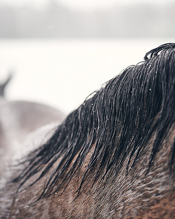 NATIONAL-STUD-27th-FEB-DJ-_DJ94929.ARW-6083