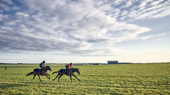 SUMMER GALLOPS-2nd-May-DJ-0282