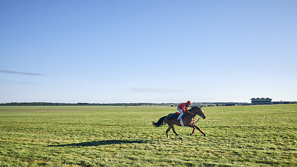 SUMMER GALLOPS-2nd-May-DJ-1462