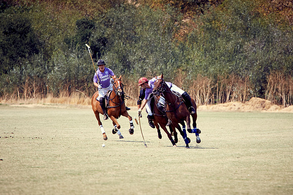 Oyster Cup Polo tournament