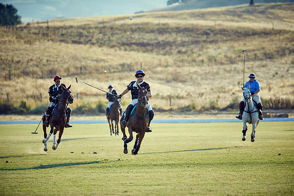 Oyster Cup Polo tournament