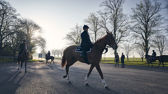 GEORGE-BOUGHEY-RACING-DJ-0787