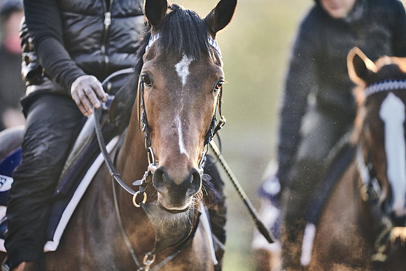GEORGE-BOUGHEY-RACING-DJ-2530