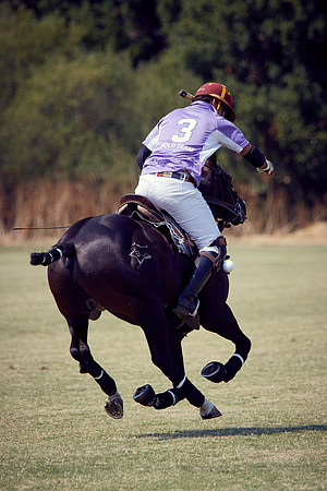 Oyster Cup Polo tournament