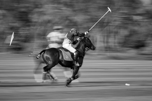 THAI-POLO-OPEN-2019_DJ_0575