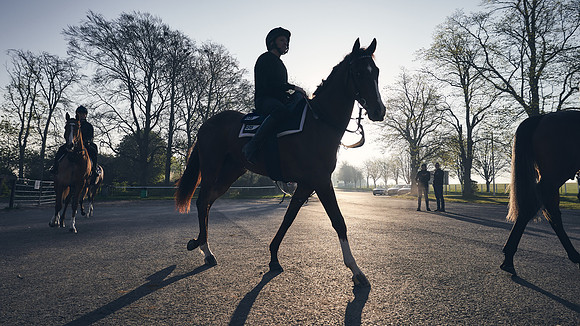 GEORGE-BOUGHEY-RACING-DJ-0710