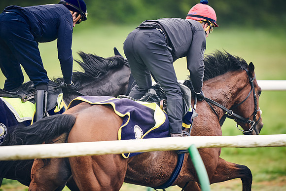 NEWMARKET-GALLOPS-24nd-APRIL-DJ-0371