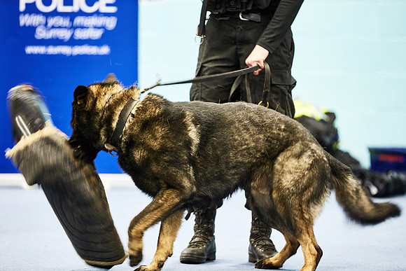 20151204-Dominic-James-AQ1Y5356.CR2