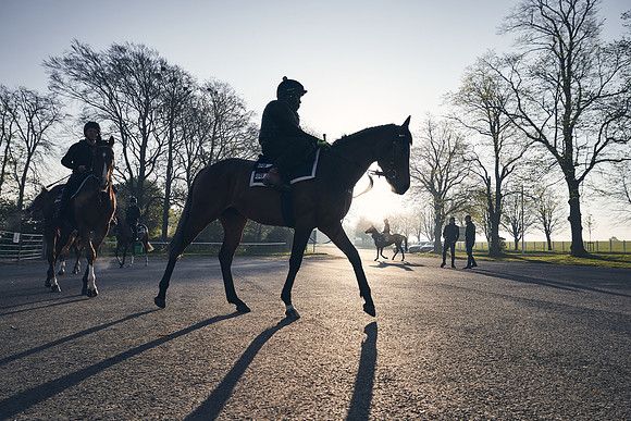 GEORGE-BOUGHEY-RACING-DJ-0692