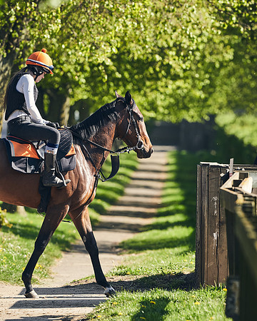 NEWMARKET-GALLOPS-22nd-APRIL-DJ-4119