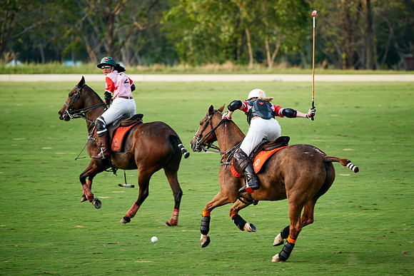 THAI-PINK-POLO-2019_DJ_3269