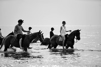 _DSC2740.ARW