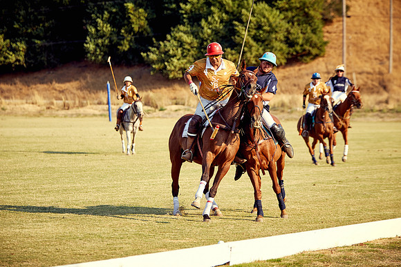 Oyster Cup Polo tournament