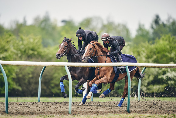 NEWMARKET-GALLOPS-25th-APRIL-DJ-0093