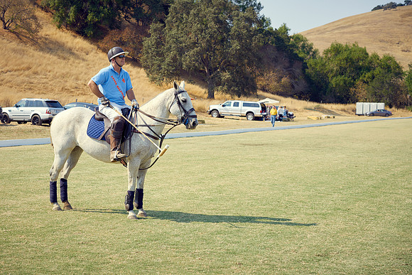 Oyster Cup Polo tournament