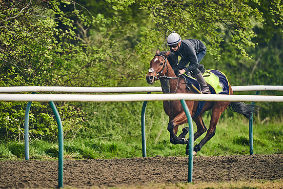 NEWMARKET-GALLOPS-24nd-APRIL-DJ-0446